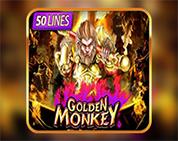 Golden Monkey